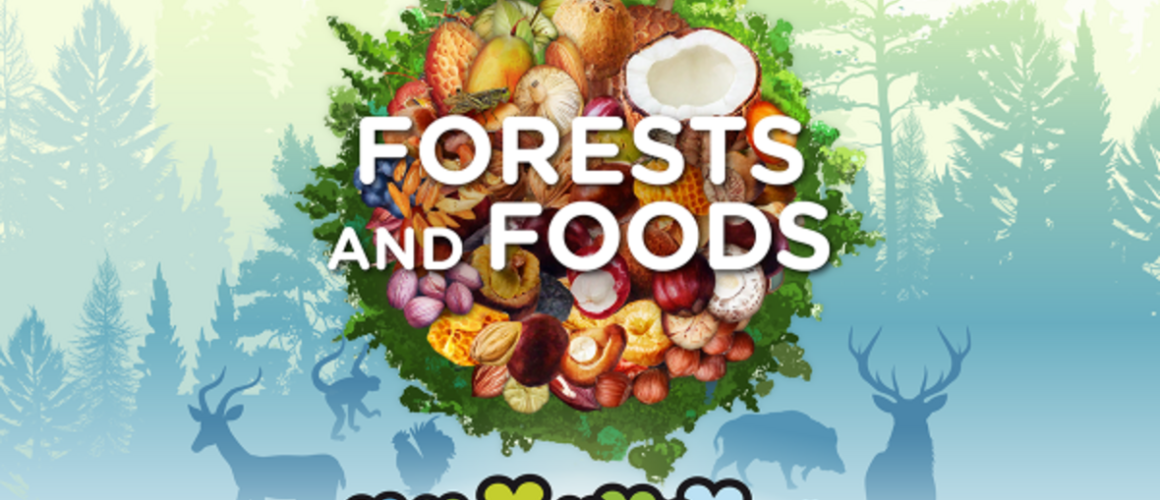 Celebration of the 2025 International Day of Forests – Joint letter FAO-UNFF