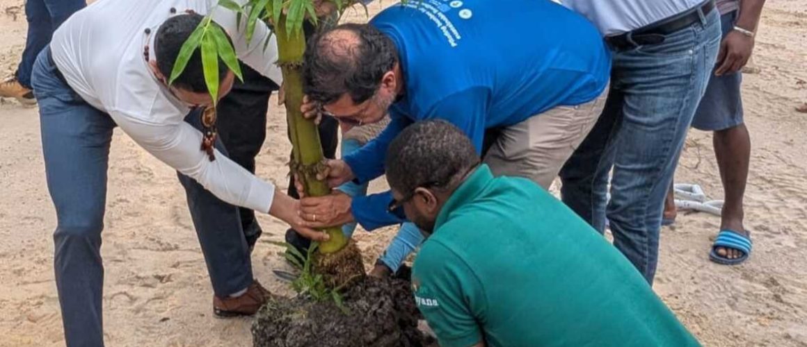 Guyana launches Bamboo pilot project